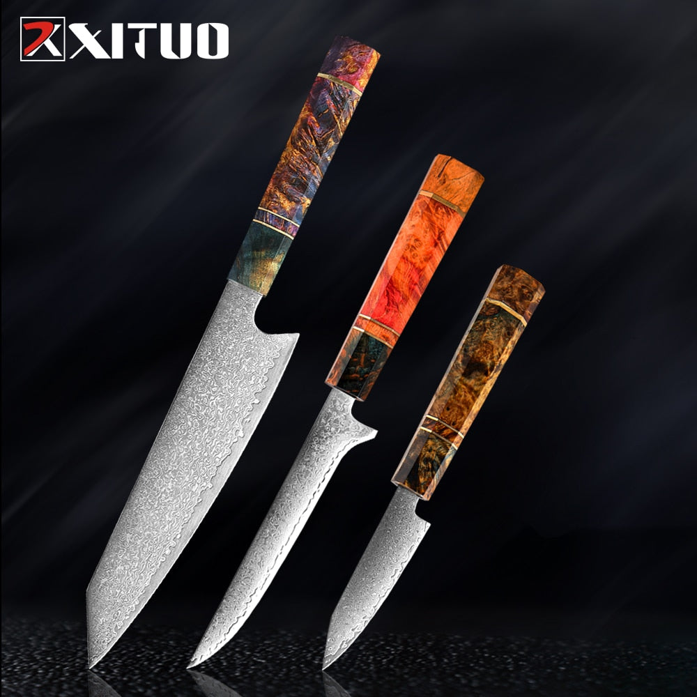 XITUO Damascus Kitchen Knife Set Chef Nakiri Knife 67 Layers Japanese Damascus Steel Chef Knife Razor Sharp Blade Colorful Wood