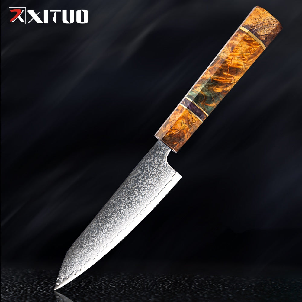 XITUO Damascus Kitchen Knife Set Chef Nakiri Knife 67 Layers Japanese Damascus Steel Chef Knife Razor Sharp Blade Colorful Wood