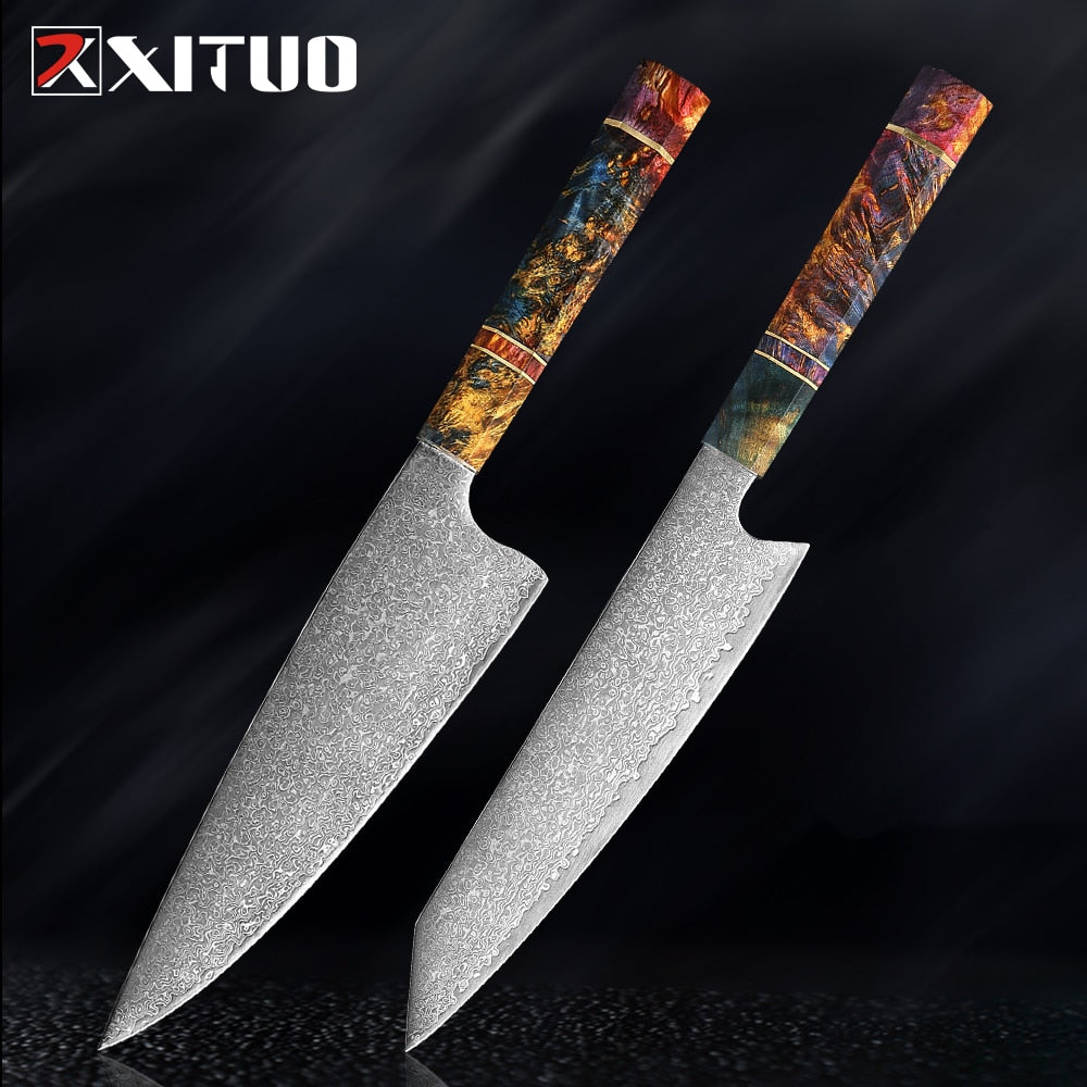 XITUO Damascus Kitchen Knife Set Chef Nakiri Knife 67 Layers Japanese Damascus Steel Chef Knife Razor Sharp Blade Colorful Wood