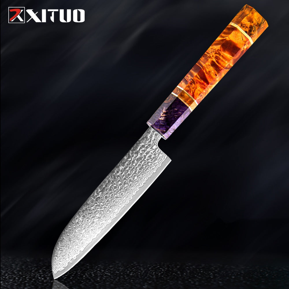 XITUO Damascus Kitchen Knife Set Chef Nakiri Knife 67 Layers Japanese Damascus Steel Chef Knife Razor Sharp Blade Colorful Wood